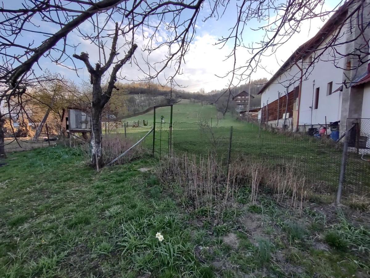 Pensiunea Ghita Vasile Vadu Izei Exterior photo