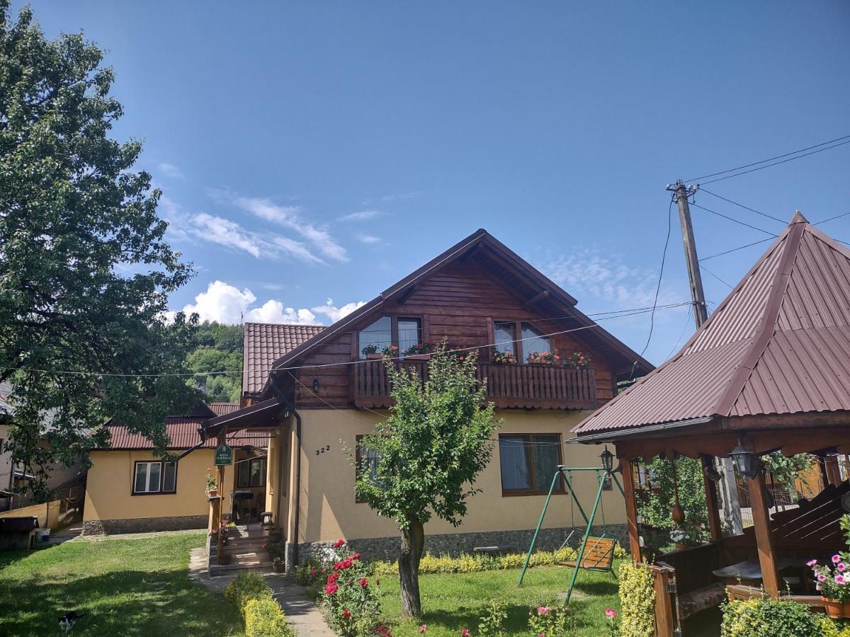 Pensiunea Ghita Vasile Vadu Izei Exterior photo
