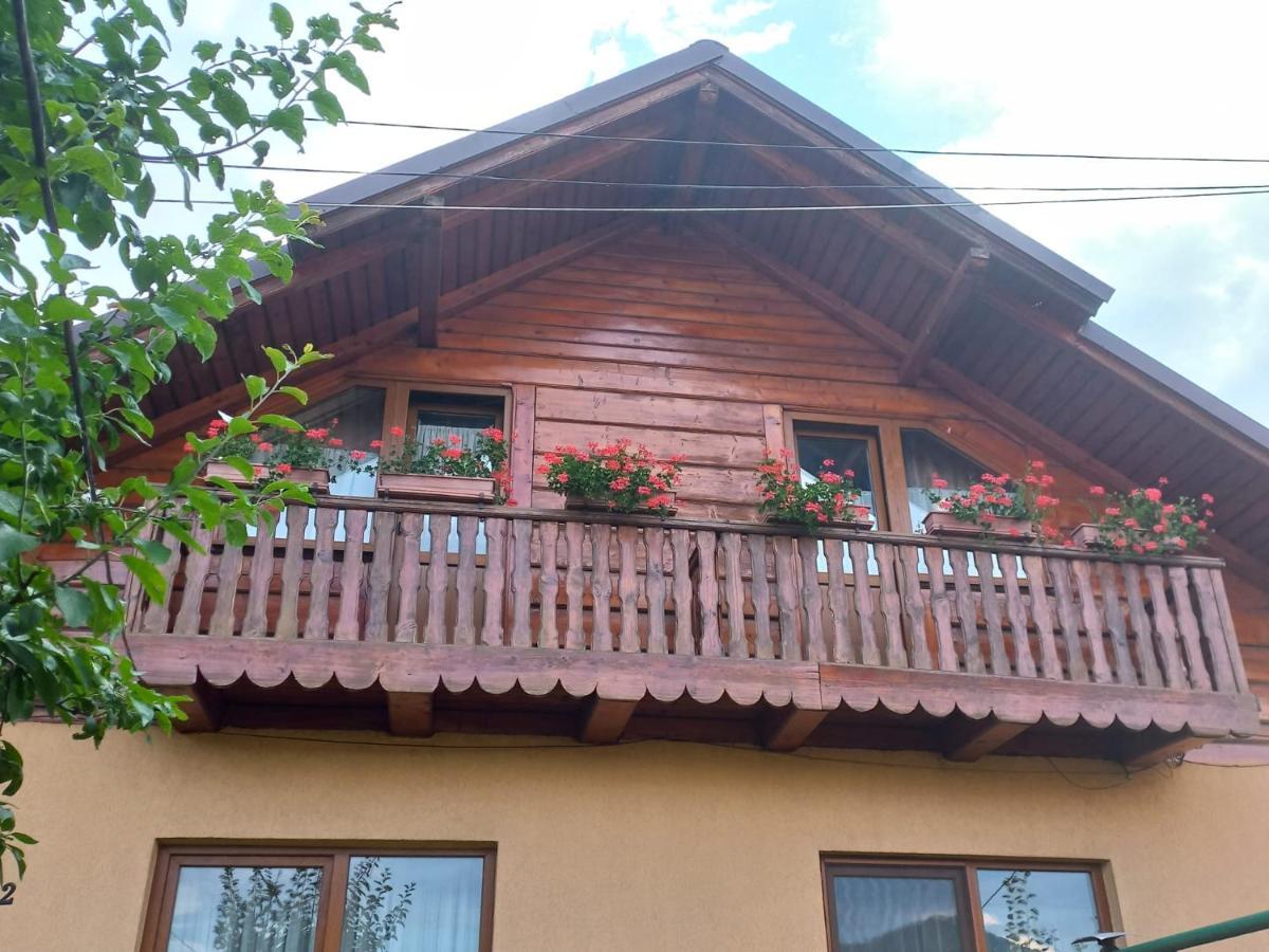 Pensiunea Ghita Vasile Vadu Izei Exterior photo